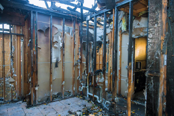 Professional Soot Cleanup technician working in Anchorage, KY